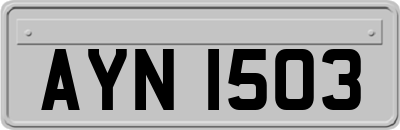 AYN1503