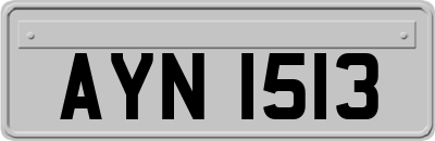 AYN1513