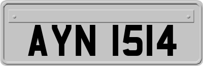 AYN1514