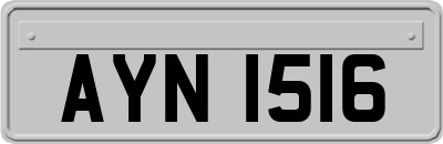 AYN1516