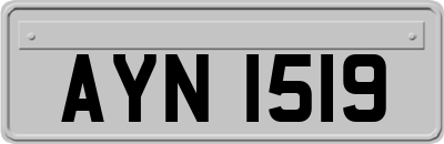 AYN1519