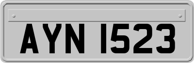 AYN1523