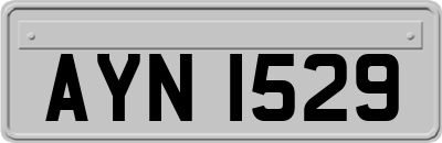 AYN1529