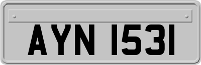 AYN1531