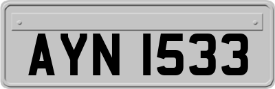 AYN1533