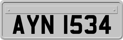 AYN1534