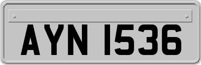 AYN1536