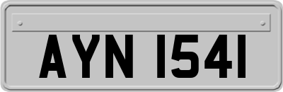 AYN1541