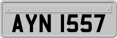 AYN1557