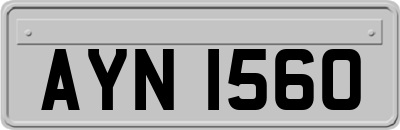 AYN1560