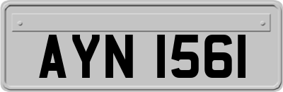 AYN1561