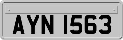AYN1563