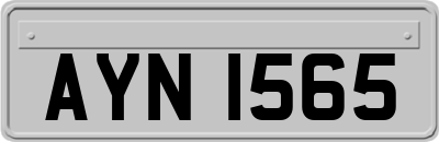 AYN1565