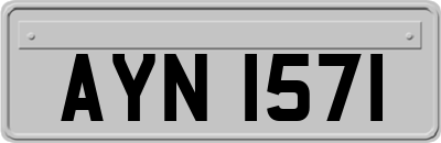 AYN1571