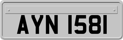 AYN1581