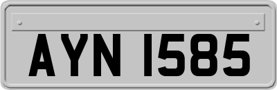AYN1585