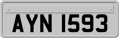 AYN1593