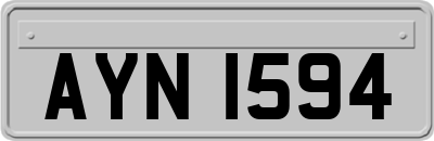 AYN1594