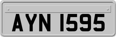 AYN1595