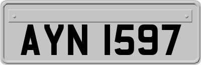 AYN1597