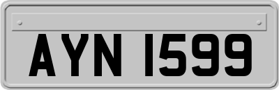 AYN1599
