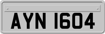 AYN1604