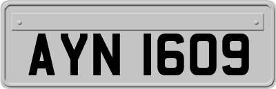 AYN1609