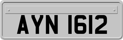 AYN1612