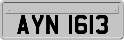 AYN1613