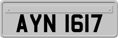 AYN1617