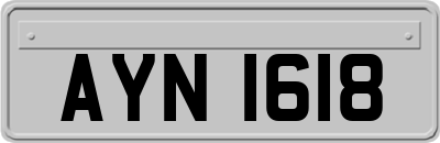 AYN1618