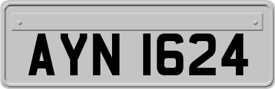 AYN1624