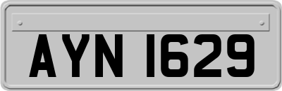 AYN1629
