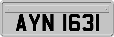 AYN1631
