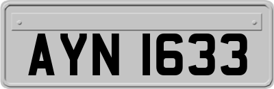 AYN1633