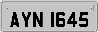 AYN1645