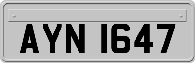 AYN1647