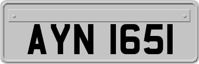 AYN1651