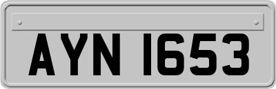 AYN1653
