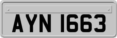 AYN1663