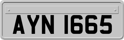 AYN1665