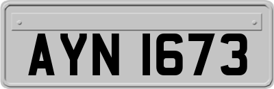 AYN1673