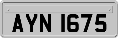 AYN1675