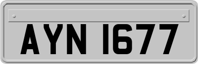 AYN1677