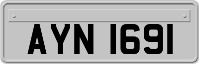 AYN1691