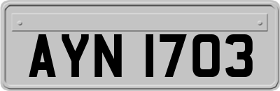AYN1703