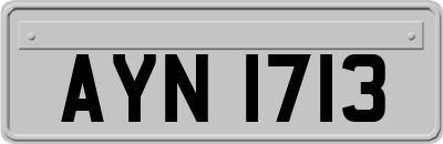 AYN1713