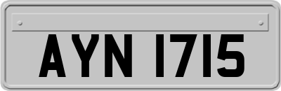 AYN1715