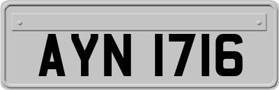 AYN1716