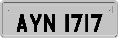 AYN1717